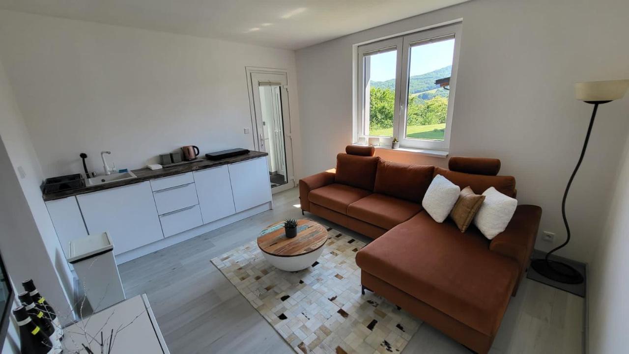 Apartman S Bazenem A Saunou Kadaň Exterior foto